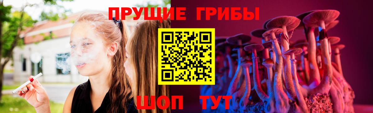 Галлюциногенные грибы Psilocybine cubensis  Алейск 